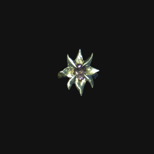 princess's fate ring - amethyst